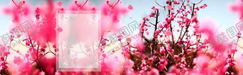 编号：74530207071612182964【酷图网】源文件下载-春天海报