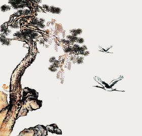 松树