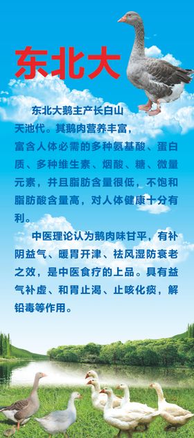 东北大鹅