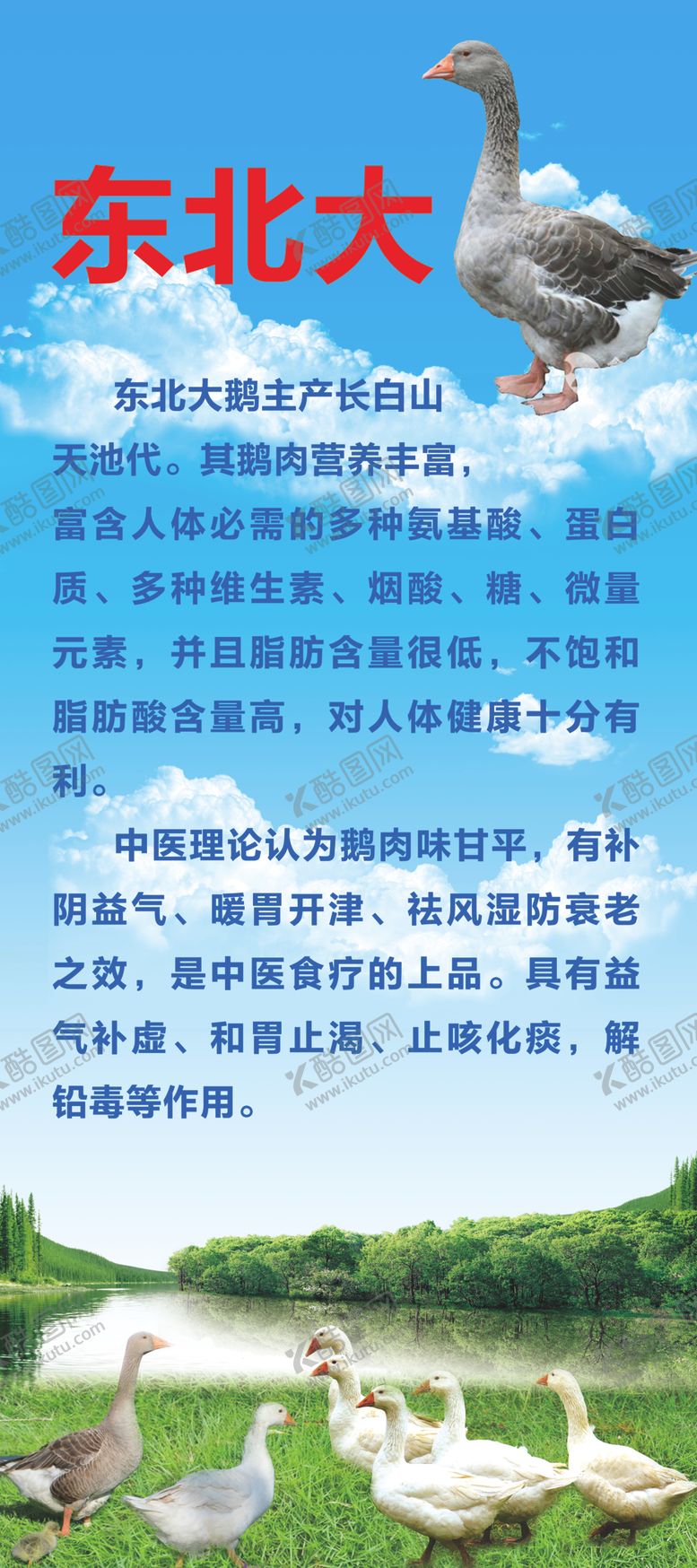 编号：24685409232330346499【酷图网】源文件下载-东北大鹅