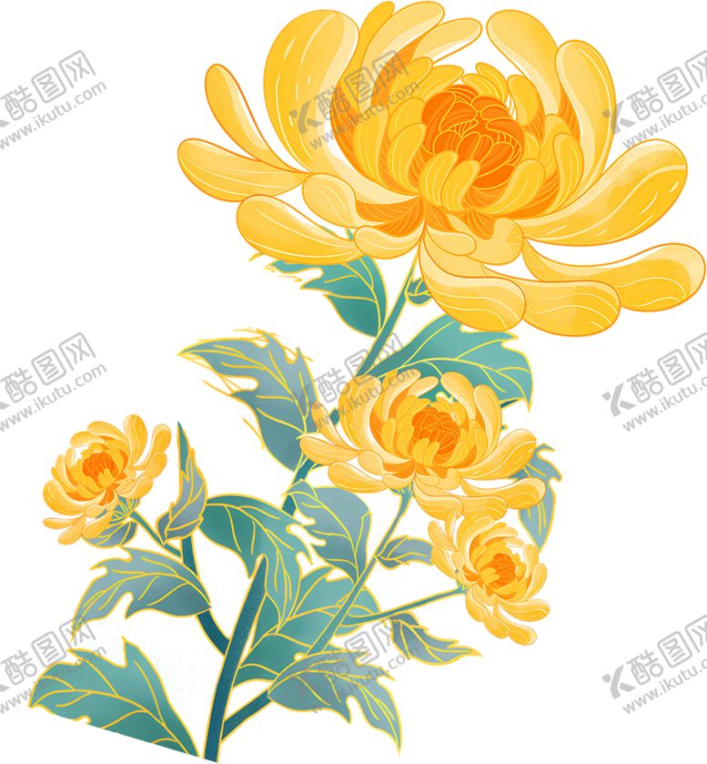 编号：57116702081610308264【酷图网】源文件下载-菊花
