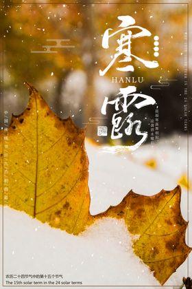 寒露海报