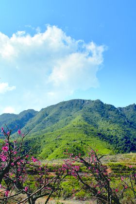风景