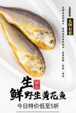 野生黄花鱼美食活动海报素材