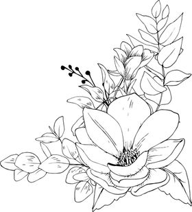 花卉填色图轮廓鲜插勾线