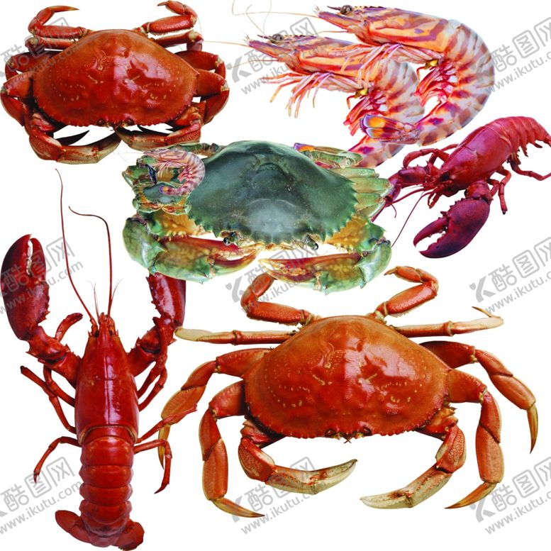 编号：29120209240235429183【酷图网】源文件下载-海鲜海报