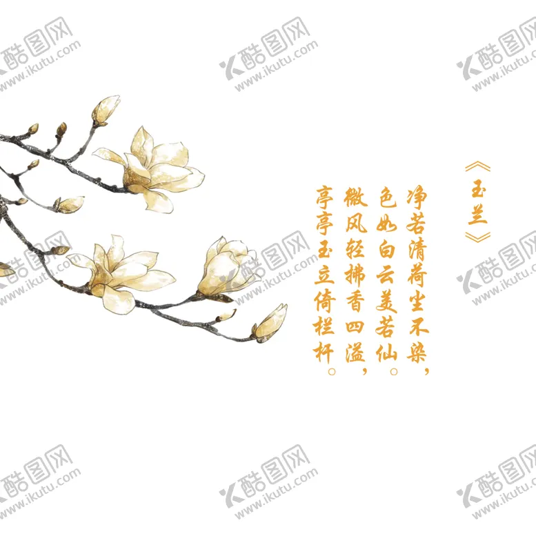 编号：84208101310232041534【酷图网】源文件下载-白玉兰