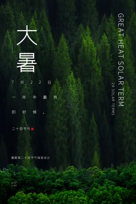 大暑海报