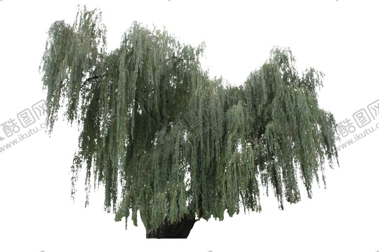 编号：15014210211918419971【酷图网】源文件下载-树木