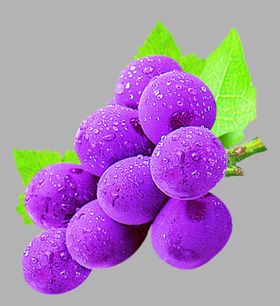 葡萄
