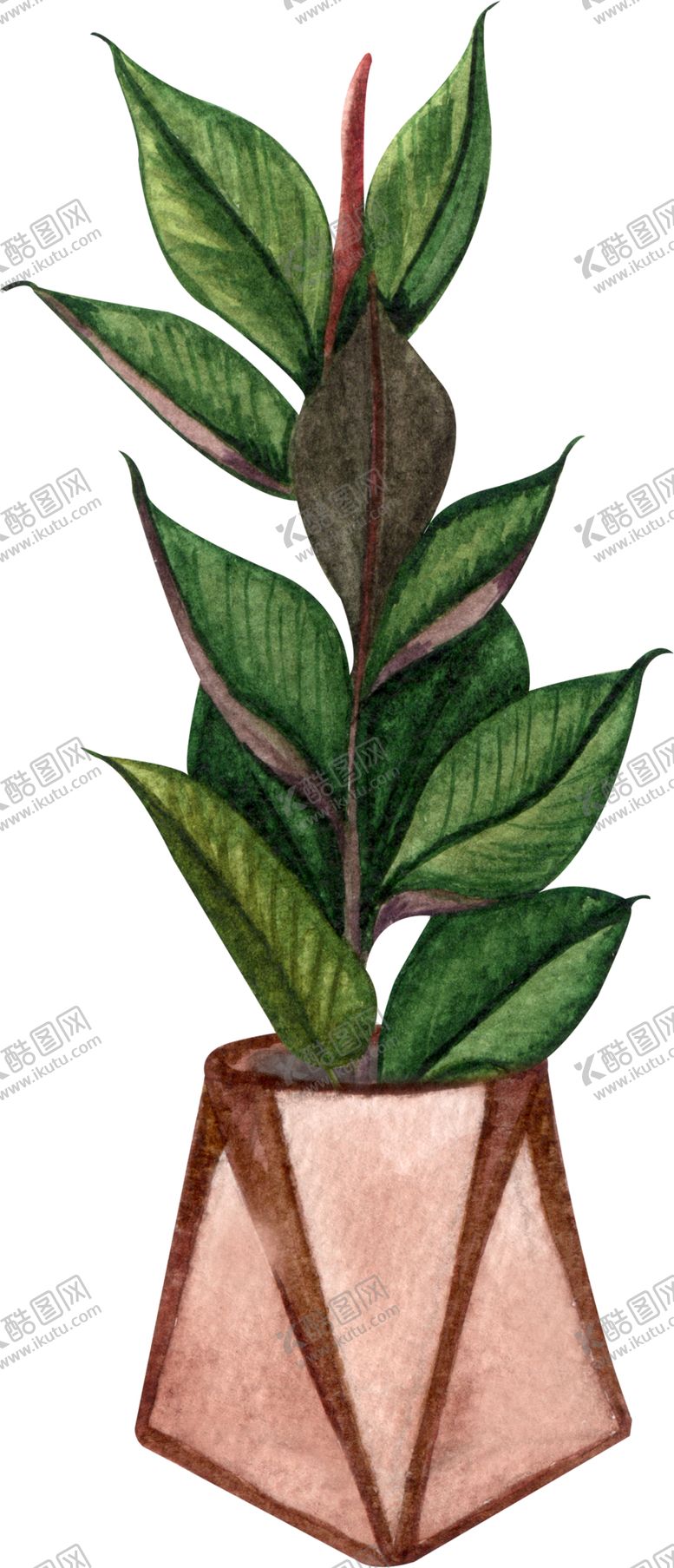 编号：85894406231446317447【酷图网】源文件下载-绿植插画