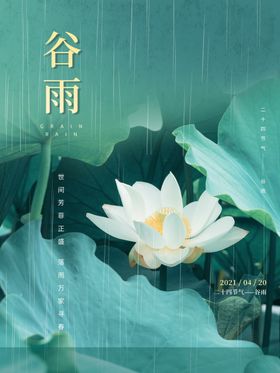 谷雨插画宣传