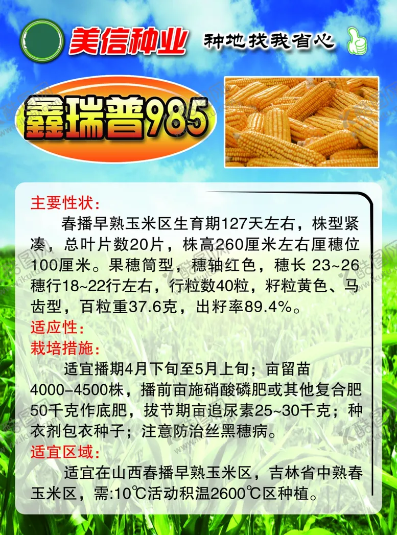 编号：90945202171443009447【酷图网】源文件下载-种业传单