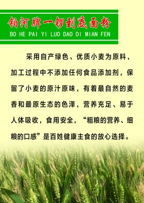 面粉