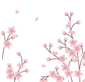 樱花