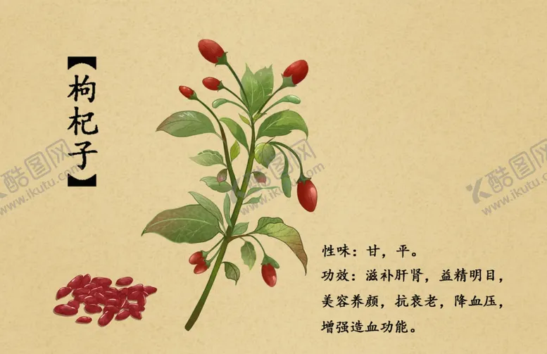 编号：81082102260322094787【酷图网】源文件下载-药材图谱