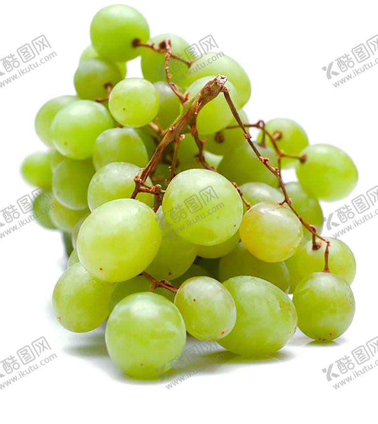 编号：72352010200512026876【酷图网】源文件下载-葡萄