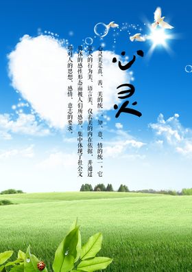 心灵窗帘