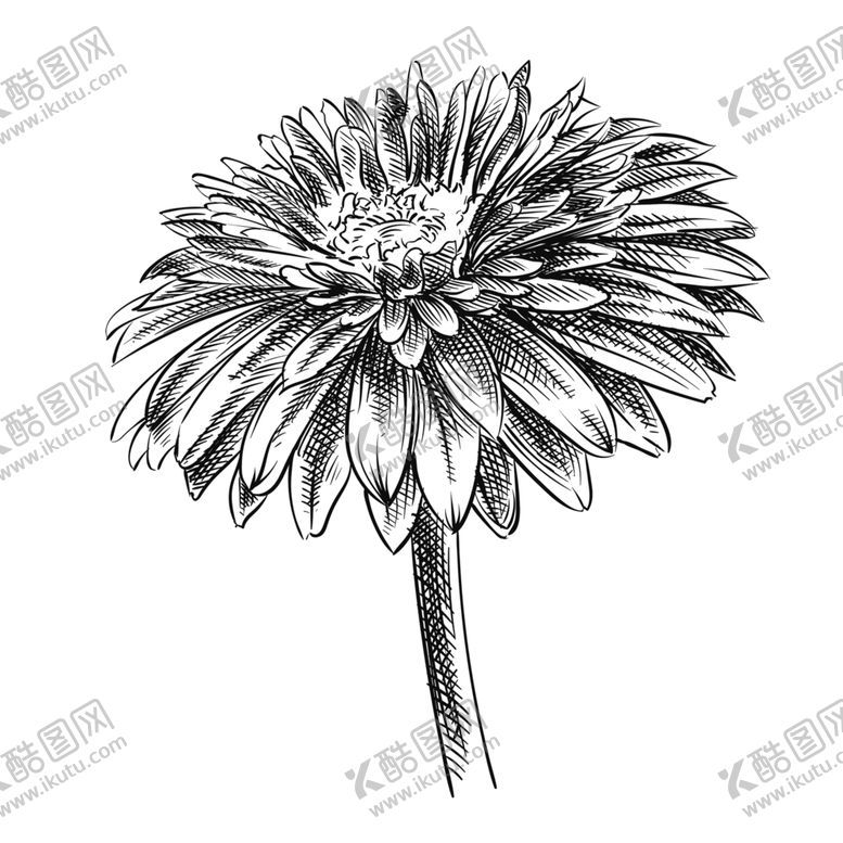 编号：83032507131503145697【酷图网】源文件下载-鲜花素材