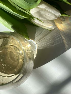 郁金香绽放自然景观花朵花卉
