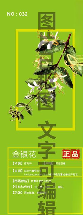金银花