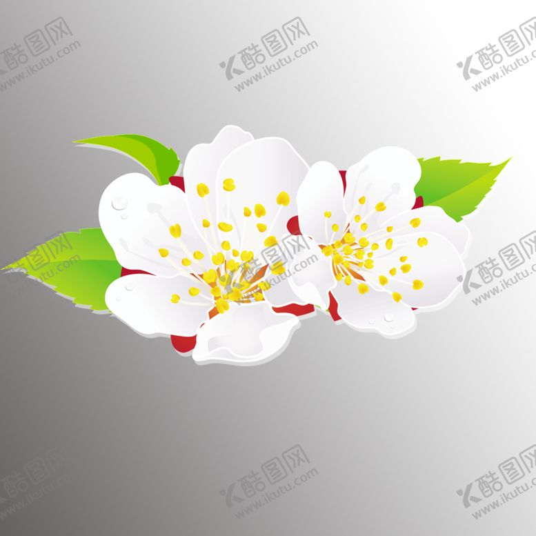 编号：86967403150651452843【酷图网】源文件下载-一朵花