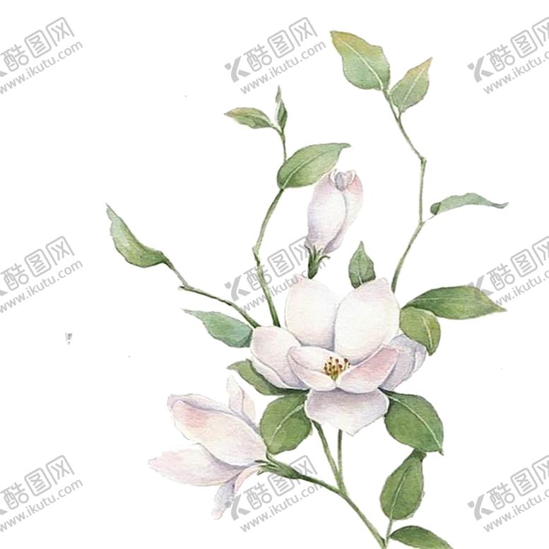 编号：16338505130512437887【酷图网】源文件下载-手绘植物花卉