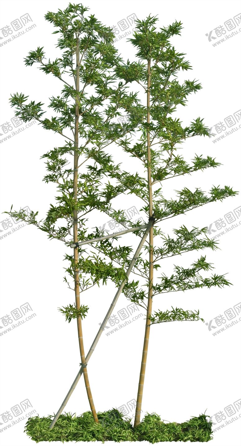 编号：29637709142024387632【酷图网】源文件下载-刚竹超精细psd抠图分层