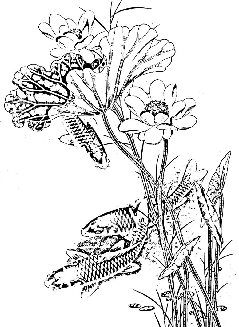 编号：40895111271614424767【酷图网】源文件下载-鱼白描