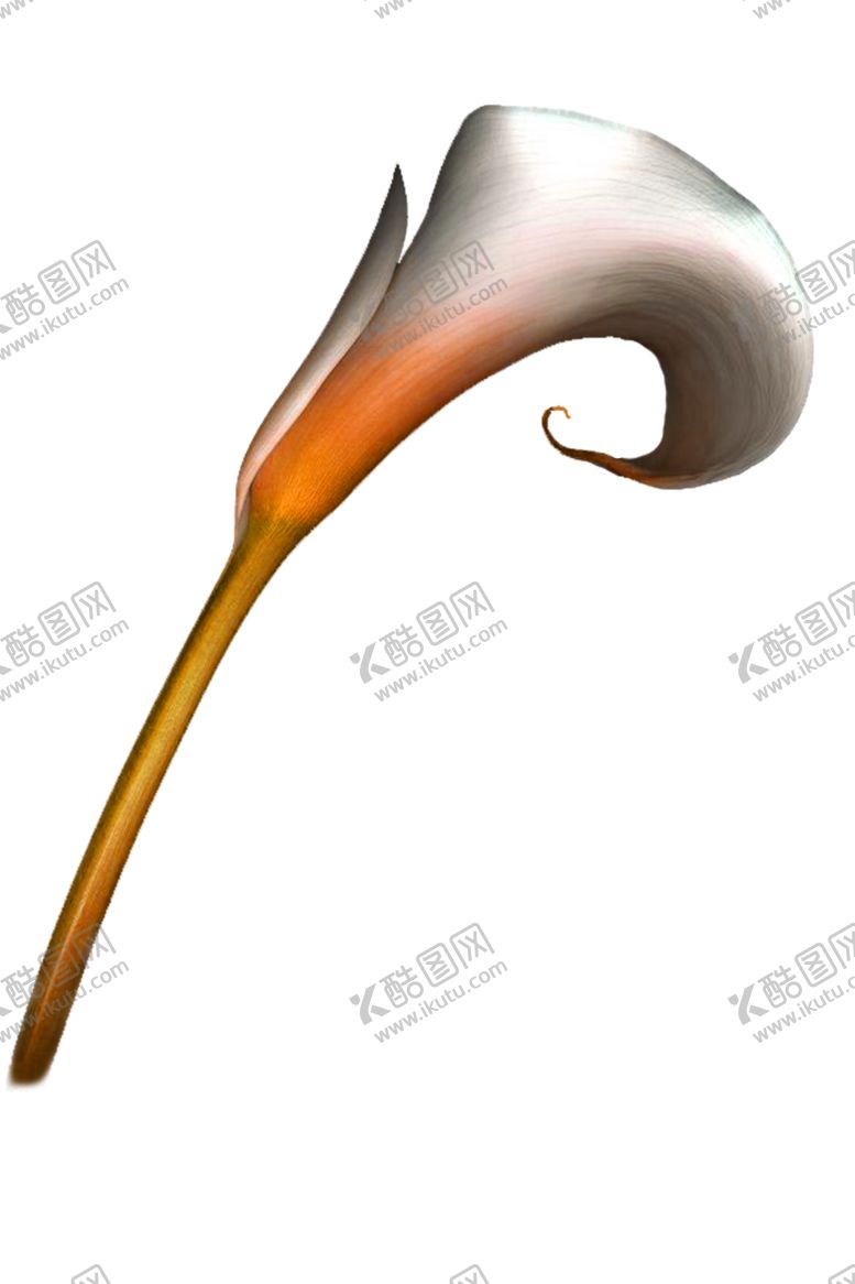 编号：29402405101059531227【酷图网】源文件下载-鲜花素材