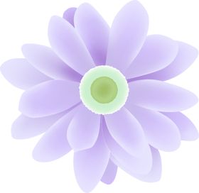 花 PNG 免抠图 素材
