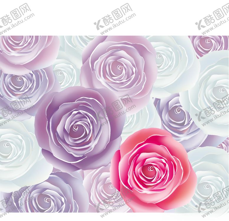 编号：47871509240101017895【酷图网】源文件下载-花卉