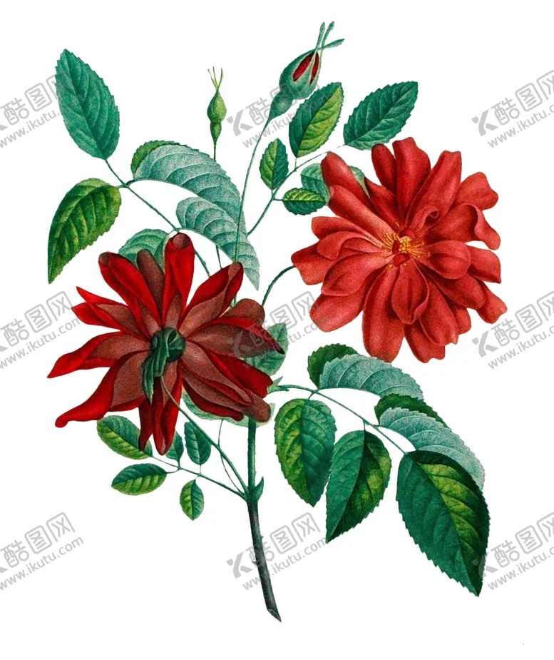编号：57382206261956132430【酷图网】源文件下载-复古鲜花主题装饰图案