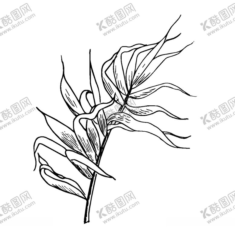 编号：92338007120911278636【酷图网】源文件下载-手绘清新植物