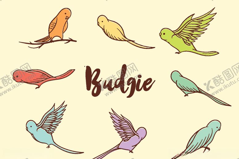 编号：27050910290113054837【酷图网】源文件下载-小鸟