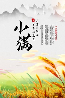 夏至稻花香小满海报24节气中国传统节气