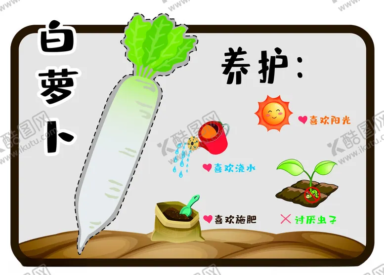 编号：10221003081418093098【酷图网】源文件下载-白萝卜养护