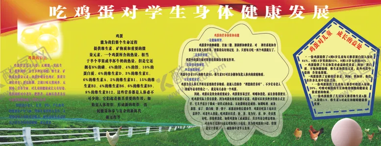 编号：55000306190135088833【酷图网】源文件下载-鸡蛋对学生的康健