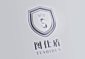 logo 设计 效果图 ps