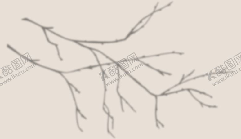 编号：39977510171516481106【酷图网】源文件下载-植物阴影