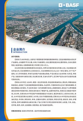 巴斯夫企业简介