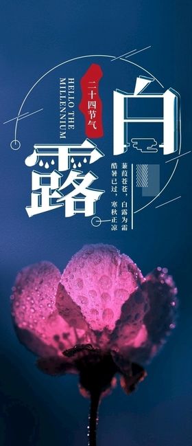 白露