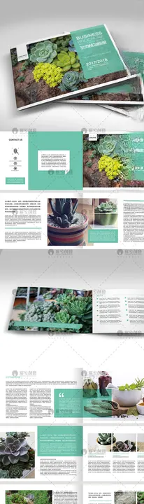 小清新多肉植物画册