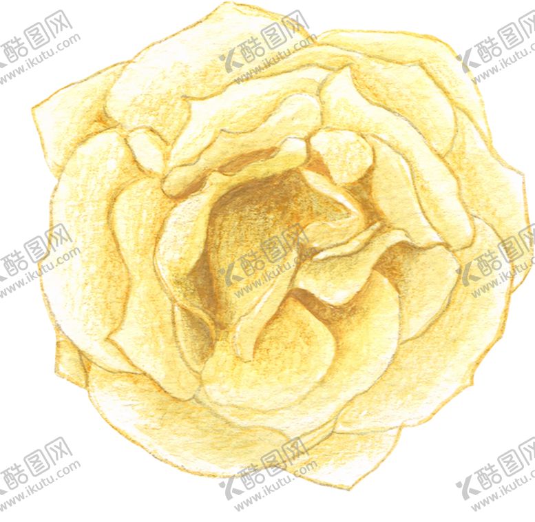 编号：43816809221757445109【酷图网】源文件下载-水彩植物