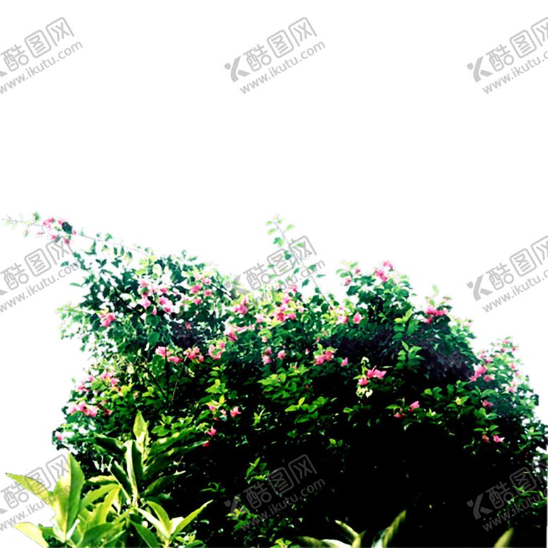 编号：53928207070215194364【酷图网】源文件下载-绿色相框