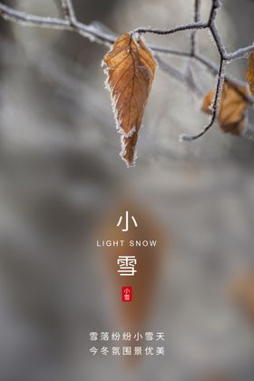 小雪海报