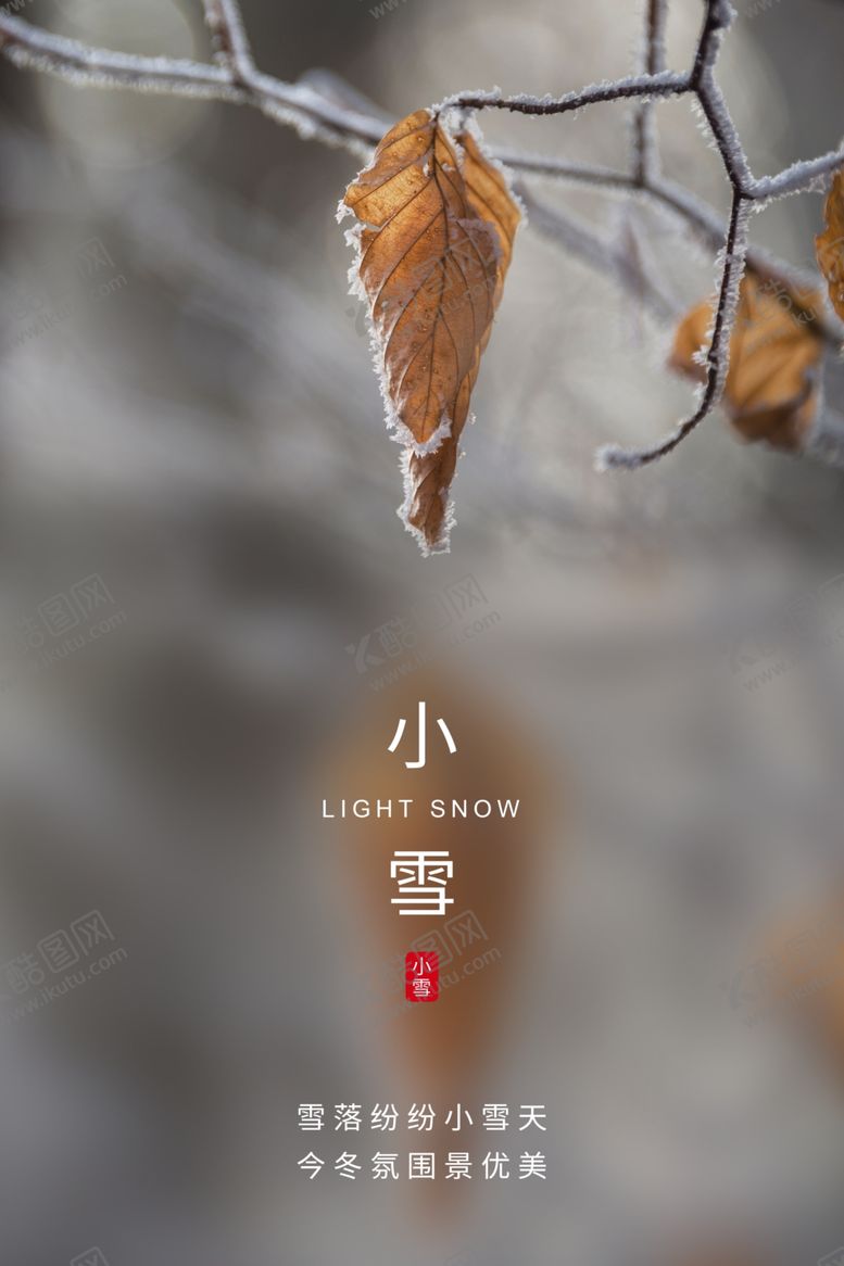 编号：27412409260101285013【酷图网】源文件下载-小雪小雪海报小雪节气