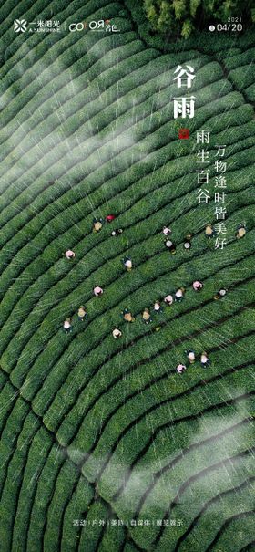 谷雨海报