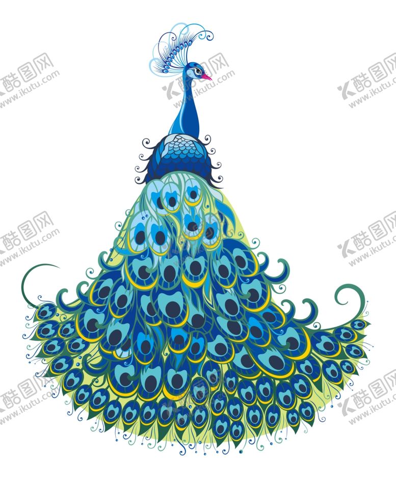 编号：50185510170445402369【酷图网】源文件下载-孔雀