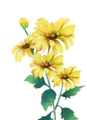 重阳节素材